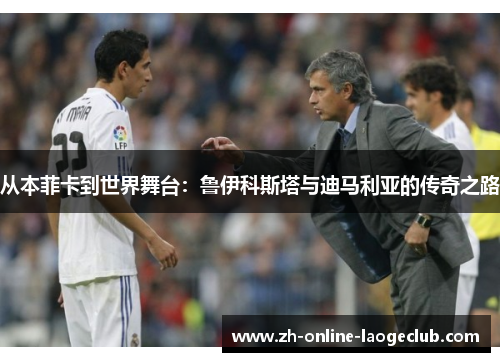 从本菲卡到世界舞台：鲁伊科斯塔与迪马利亚的传奇之路