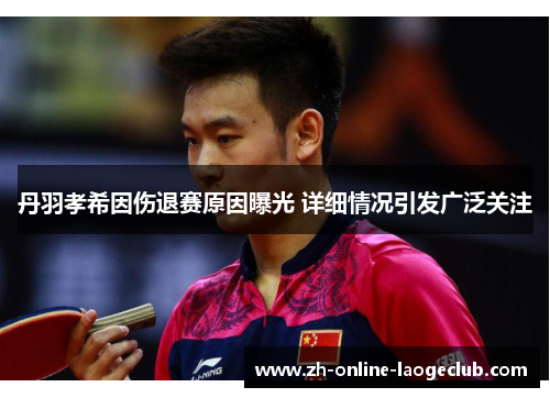 丹羽孝希因伤退赛原因曝光 详细情况引发广泛关注