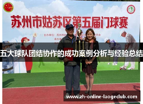 五大球队团结协作的成功案例分析与经验总结