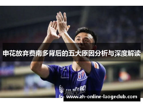 申花放弃费南多背后的五大原因分析与深度解读